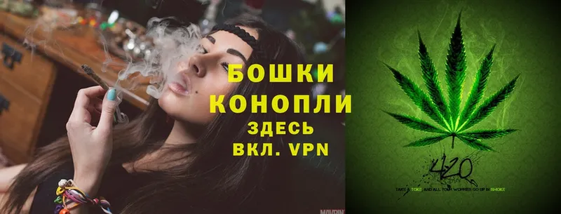 МЕГА онион  наркошоп  Бежецк  Шишки марихуана SATIVA & INDICA 